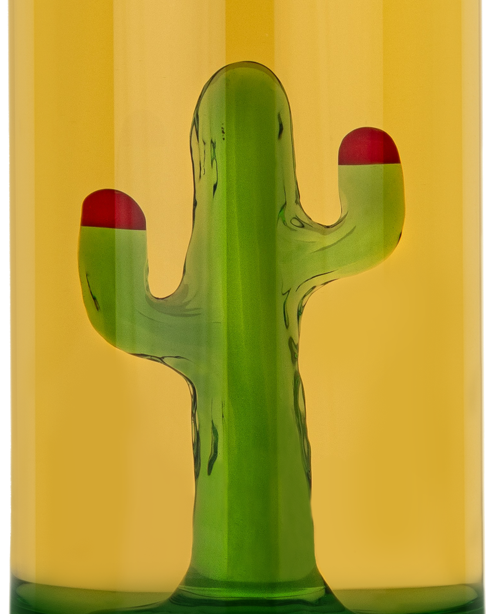 The Auscal · Agave Australis — Detailansicht